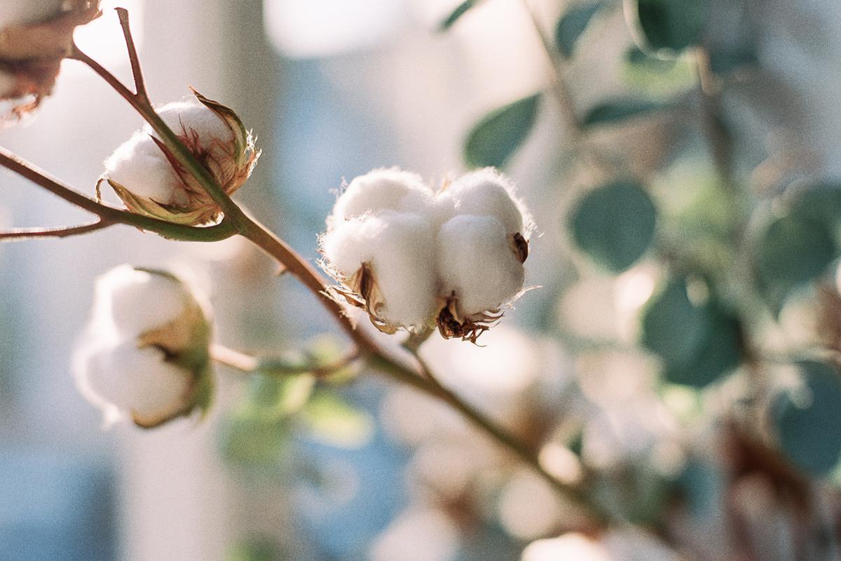 What ring-spun cotton actually means